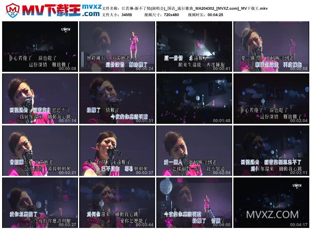 江若琳-新不了情(演唱会)_国语_流行歌曲_MA204302